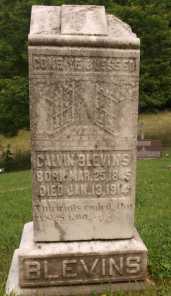 calvin j blevins